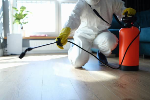 Reliable Odor Removal contractor in West Palm Beach, FL by Trauma Clean Pros